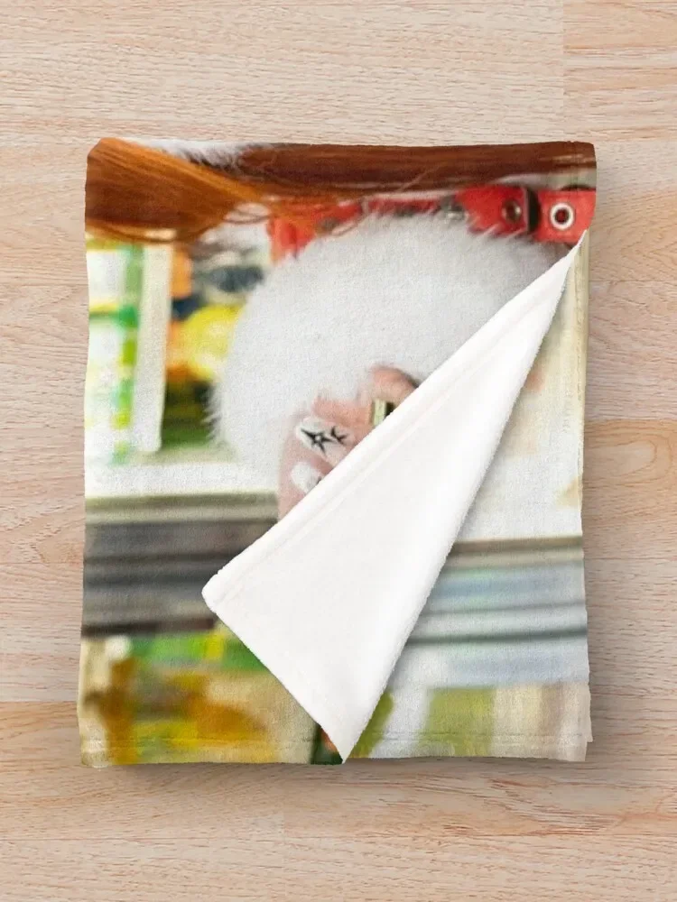 ���ƿ� ���� ������ ���, ���� ���� ���� �̺�, ���Ÿ� �귣�� ���