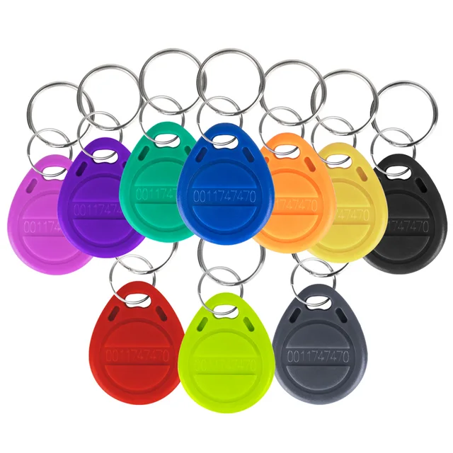 100pcs RFID TK4100 Read-only Keykobs Smart Card Of ID Key Tags Key Fobs 125KHz ID Card Access Control (NOT COPY,NOT Writable) 3