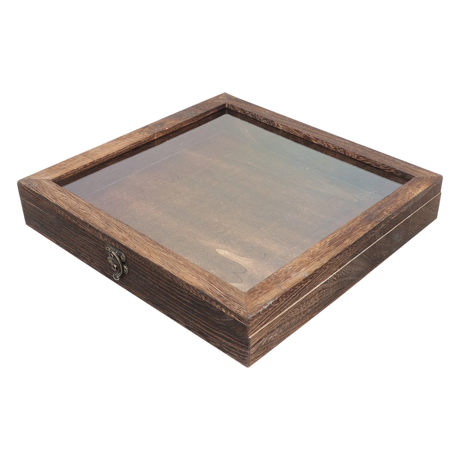 

Insect Display Case Wooden Bug Display Case Box for Specimen Insect Shadow Box Coffee