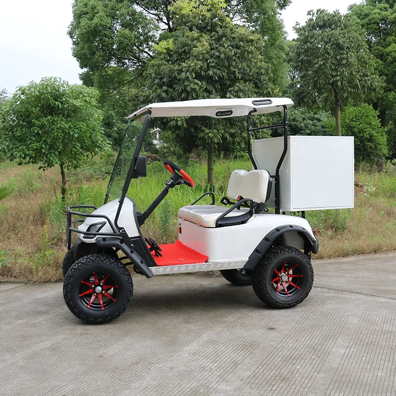Electric two seater Sightseeing club car electric garden golf cart