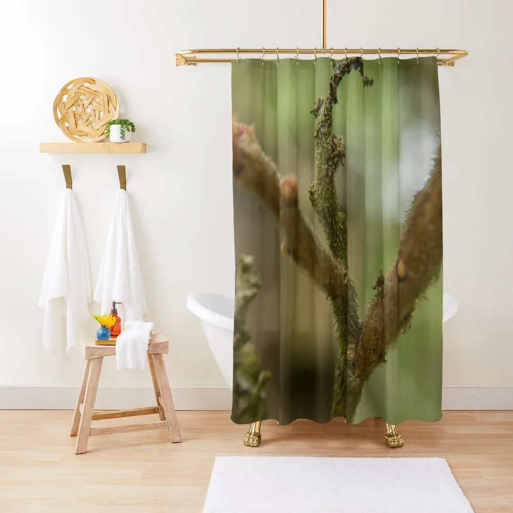 

Tree Branches Shower Curtain Anime Bathroom Window Anti-Mold Waterproof Shower Waterproof Bath And Anti-Mold Curtain