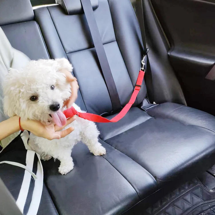Pet Harness Leash Solid Two-in-one Pet Car Seat Belt Lead Leash BackSeat Safety Belt Adjustable Harness Kitten Dogs Collar Pet Accessories