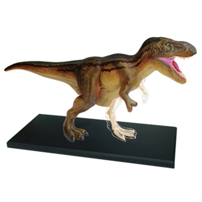 Tyrannosaurus 4d master puzzle Assembling toy Animal Biology Dinosaur organ anatomical model medical teaching model