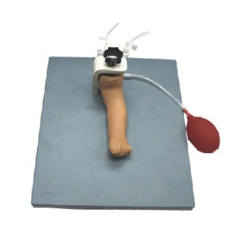 

Medical Science Teaching Resources Supplies Advanced Infant Arterial Injection Model