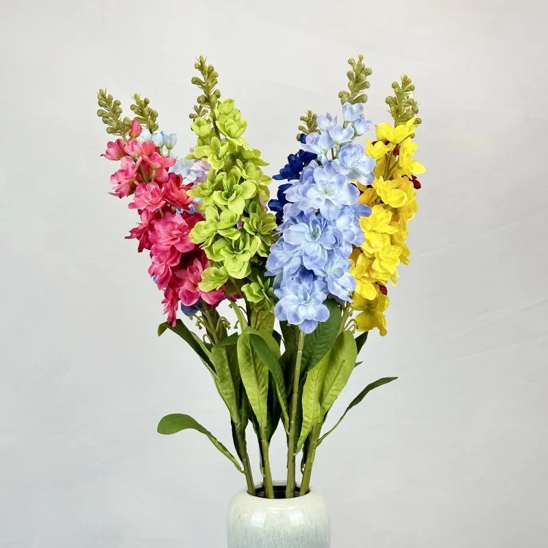 Gladiolo: significato e coltivazione di questo splendido fiore