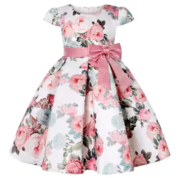 Rose Print Princess Dress 1