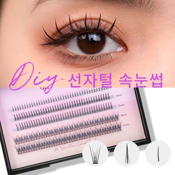 피시테일 + A 타입 -가닥 속눈썹 혼합 다섯 줄 혼합 A/M 모양 미리 만들어진 속눈썹 개별 속눈썹 클러스터 스파이크 인조속눈썹