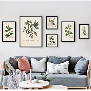 Pittura su tela Botanica Immagini d'arte da parete Decor Studi botanici Poster e stampe vintage Illustrazioni di piante francesi antiche