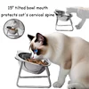 15° Tilted Cat Bowl, Elevated Cat Bowls - for Small Cats/Dogs,Indoor Stainless Steel Anti-Vomiting Pet Bowls,Spine Friendly 2