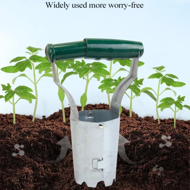 A Beépített Palánta Indító Növekszik Növény Optimális Növekedése Érdekében - Image 4