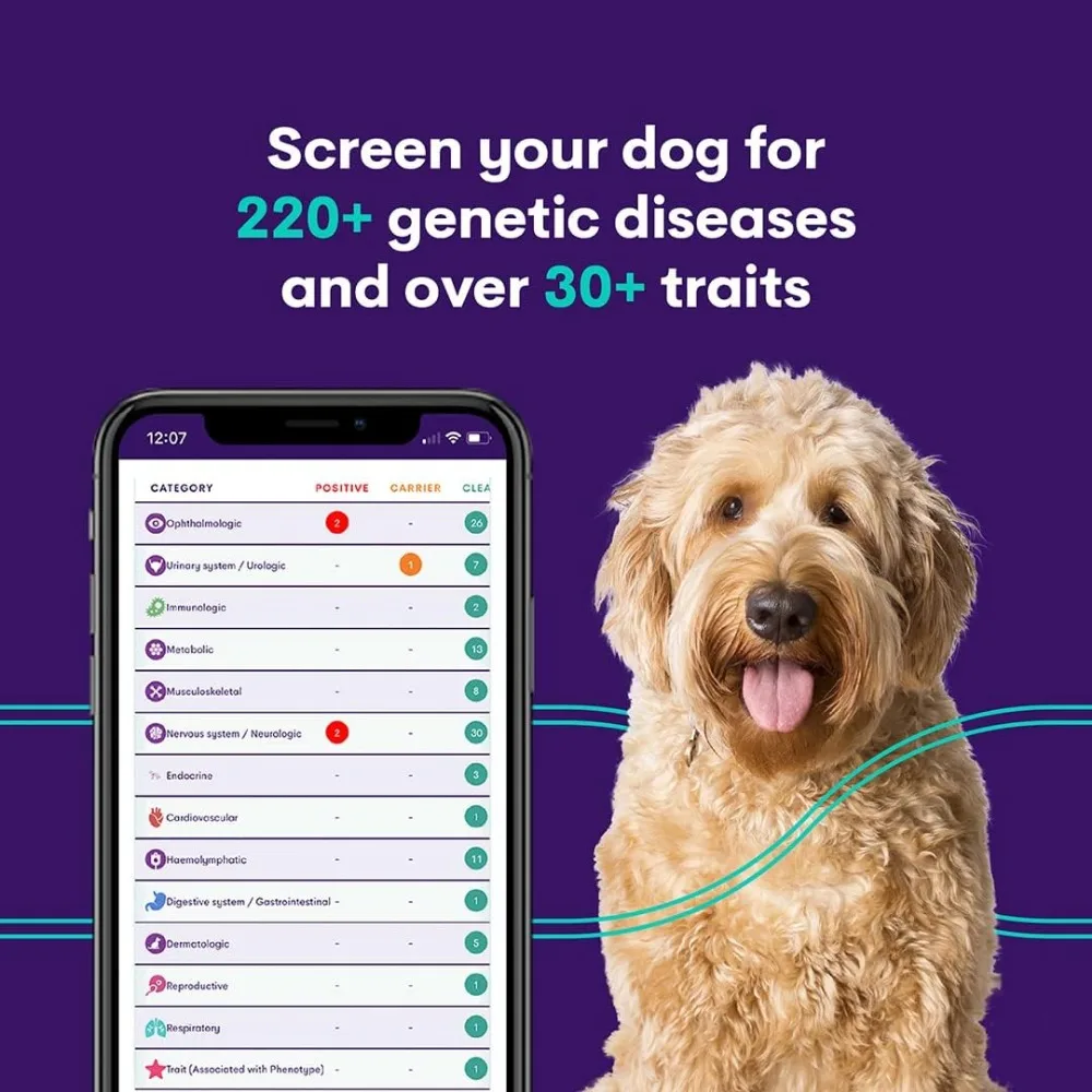 Dog DNA Test Comprehensive Dog Breed Test Kit Genetic Testing and Life Plan GenoPet+ for Canines Pet Strips