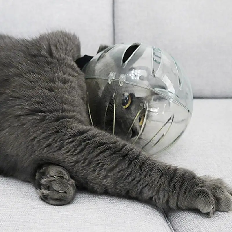 Cat Muzzle For Nail Trimming Anti Bite Lightweight Breathable Transparent Cat Hood Clear Head Cover Lightweight Pet Accessor
