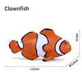 Clownfish