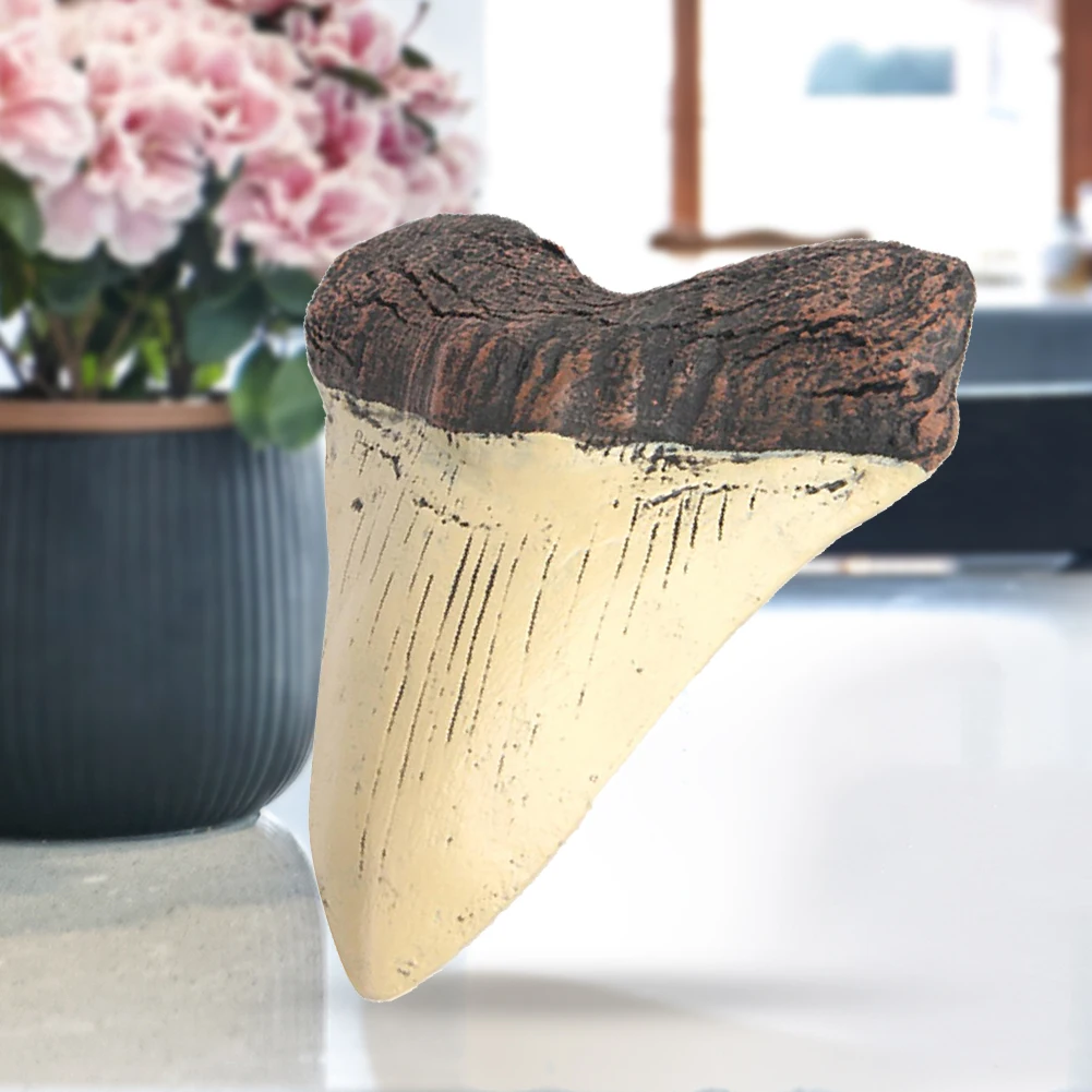 Home Decoration Resin Shark Teeth 5inch Giant Megalodon Tooth Marine Bology Teaching Props Beige Shark Teeth Fossil Best Gifts 4