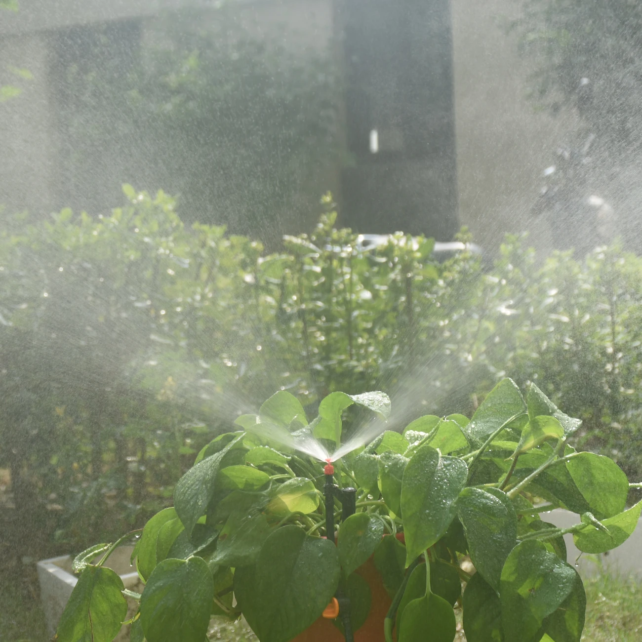 20-100pcs 90-360&deg; Male Barbed Refraction Micro Nozzles Garden Greenhouse Drip Irrigation Sprinkler Atomized Watering Sprayer