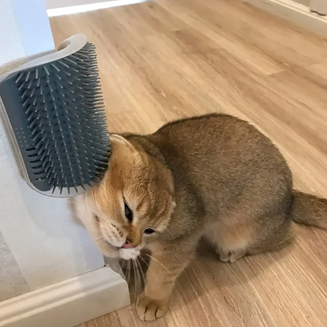 Pet Cat Corner Scrubber Massager Cat Scratching Scratching Scratcher Cat Brush Comb Massage Corner Brush Pet Supplies 3
