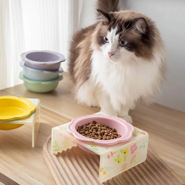 Cartoon Pet Bowl Cat Bowl Acrylic Stand Floral Ceramic Cat Bowl Neck Protection Cat Bowl Dog Food Bowl Cat Feeder  Pet Supplies 4