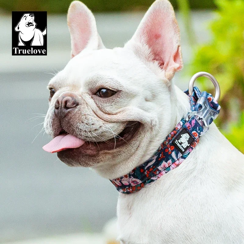 Floral Padded Dog Collar 2