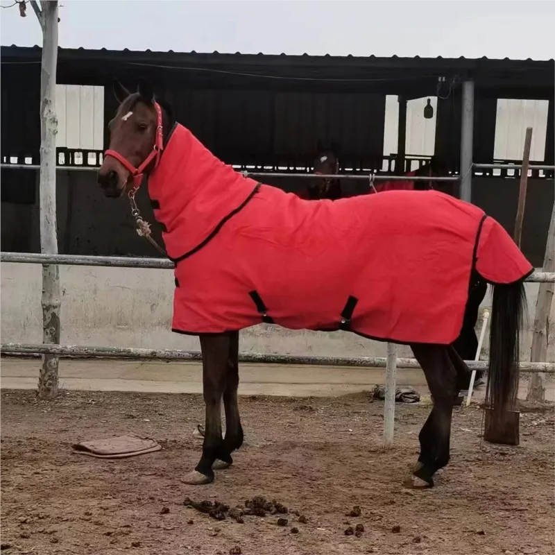 Winter Thickened And Cotton Padded Horse Clothing Increased Warmth Horse Clothing Pony And Harness Supplies