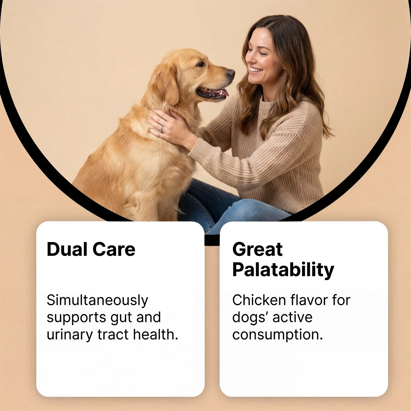 Natural Dog Digestive Support Probiotic Chews Chicken Flavored Supplement for Constipation Relief Puppy Stomach Care 200g