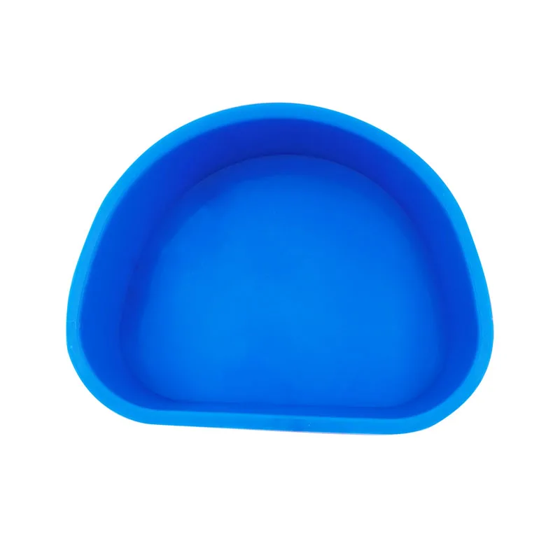 Silicone box Dental denture Silicone bowl Dental tools Red and blue