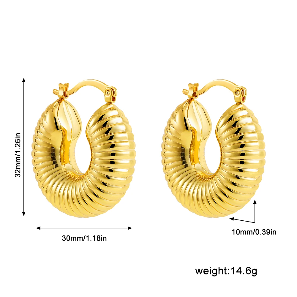 Stainless Steel Round Chunky Hoop Earrings for Women Textured Thick Hoops Statement Ear Buckle Lightweight Fashion Jewelry Gift 6 Stainless Steel Round Chunky Hoop Earrings for Women Textured Thick Hoops Statement Ear Buckle Lightweight Fashion Jewelry Gift - Image 6
