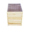 1PCS Beekeeping Propolis Collection Board Bee Glue Harvest Mesh Bee Excluder Beekeeping Propolis Collector Bee Hive Equipment 3