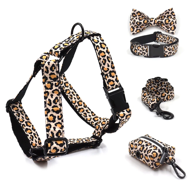 Brown Luxury Collar and Leash Set 