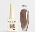 8019 cat eye gel