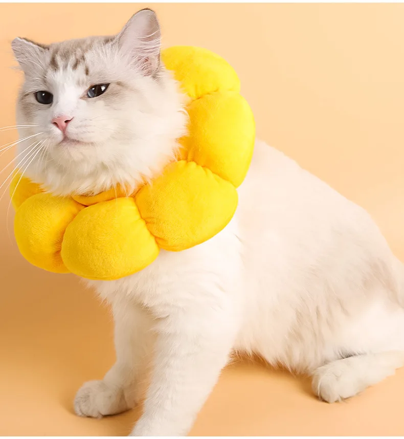 

Sunflower Cat Collar Pet Dog Neck Ring Anti licking anti scratching Pet Supplies