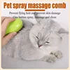 Pet Spray Comb Cat Dog Electric Spray Hair Removal Comb One Button Spray Anti Flying Hair Massage Brush 2