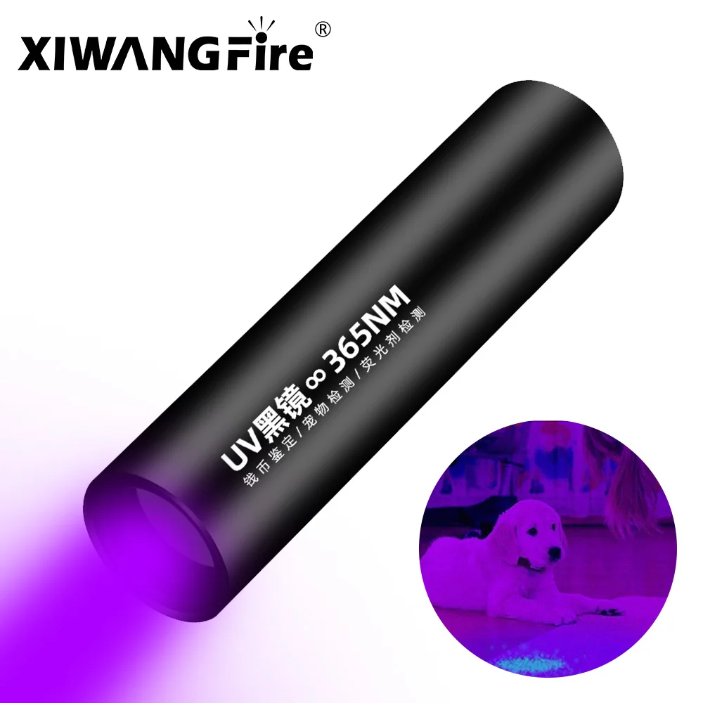 LE Black Light Flashlight, Small UV Lights with 21 LEDs, 395nm, Ultraviolet  Light Detector for Invisible Ink Pens, Pet Dog Cat Urine Stain and More