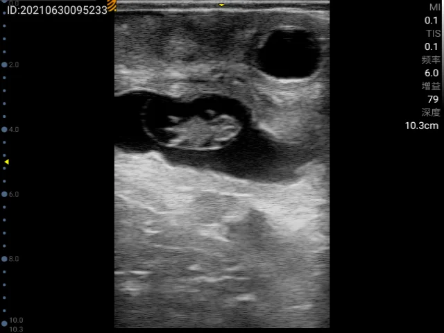 Рисунок 6 - Заводская цена, ветеринарное оборудование Vet