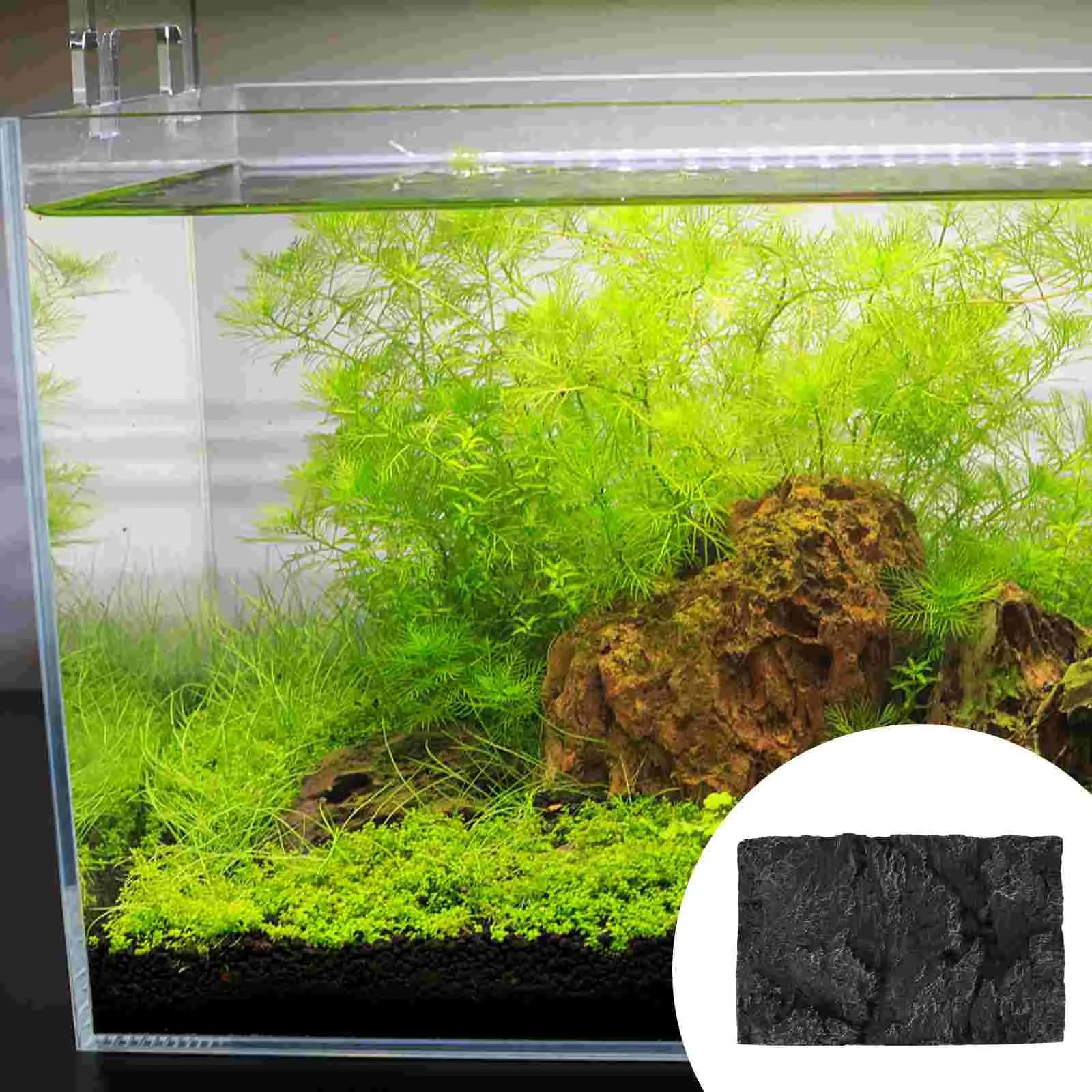

Decor Background Plate for Fish Tank Board Fashion Aquarium Three-dimensional 3D