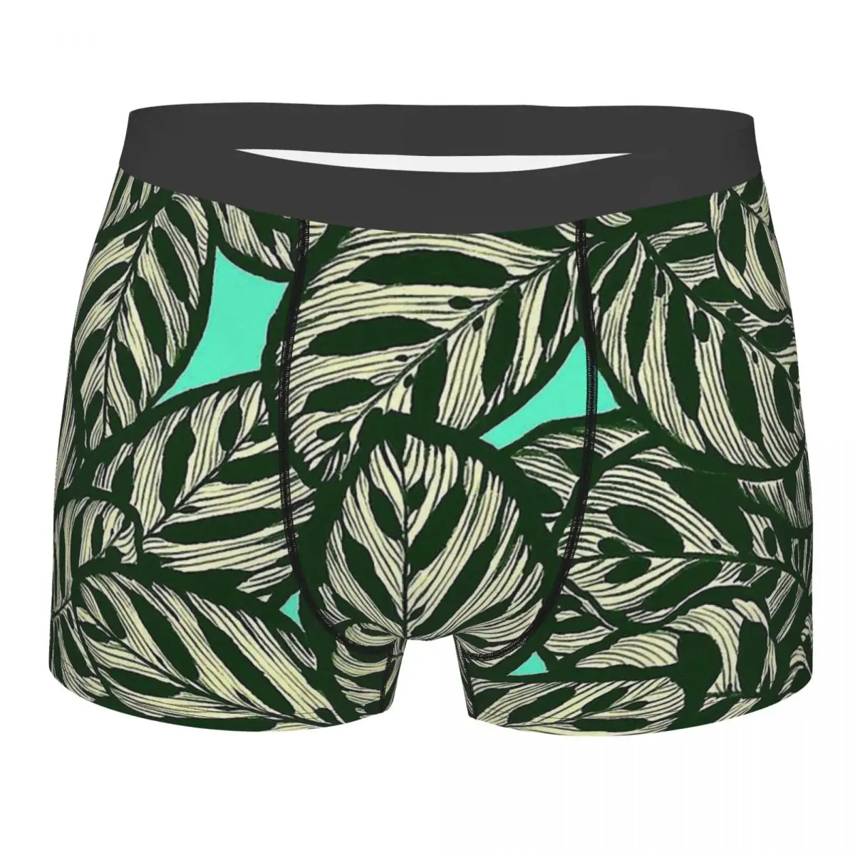 

Calathea Makoyana трусы с тропическими листьями зеленые хлопковые трусы Мужское нижнее белье вентилируемые шорты Боксеры Трусы