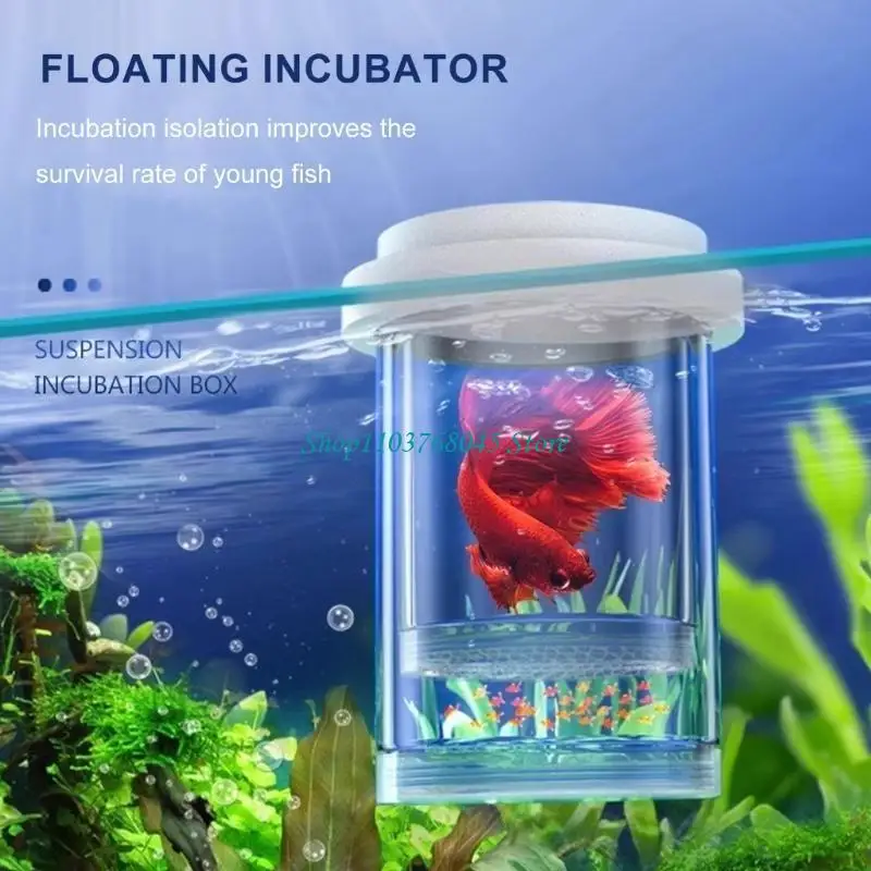 R53F 부동 물고기 사육 상자 3개 세트 수족관 Betta Guppy 새우 및 흰동가리 안전을 위한 보육 챔버 격리 상자