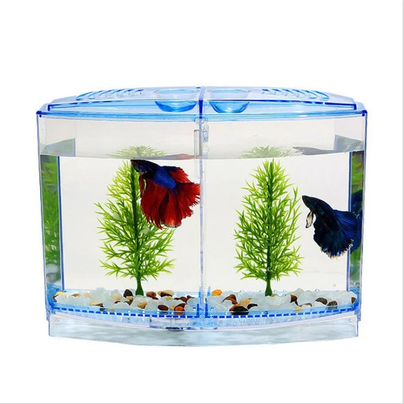 Large Double Compartment Fighting Fish Box Eco Rumble Fish Aquarium Mini Aquarium Plastic Isolation Box Breeding