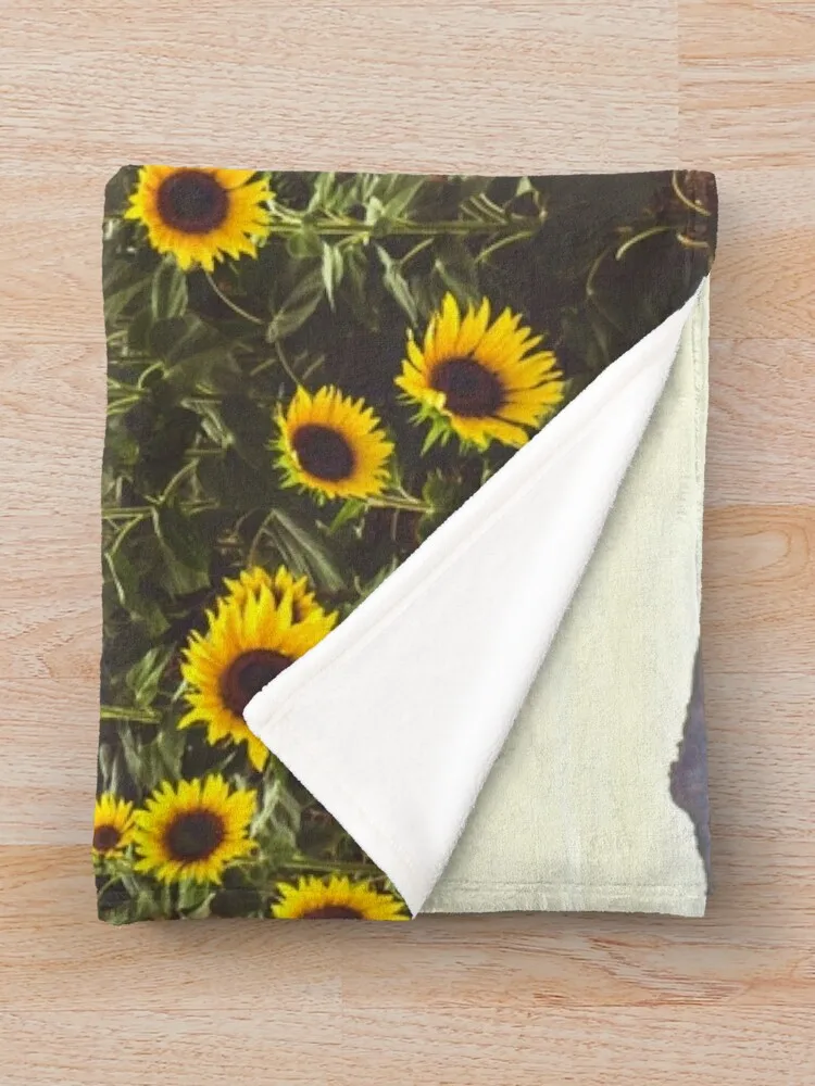 Jeremiah �عٶ�� �� ���, �ε巯�� ���