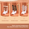 NEW Shoes Dryer Machine 42°c Smart Constant Temperature Fast Dryer Heater Deodorizer Dehumidifier Device Gloves Boots Drier 5
