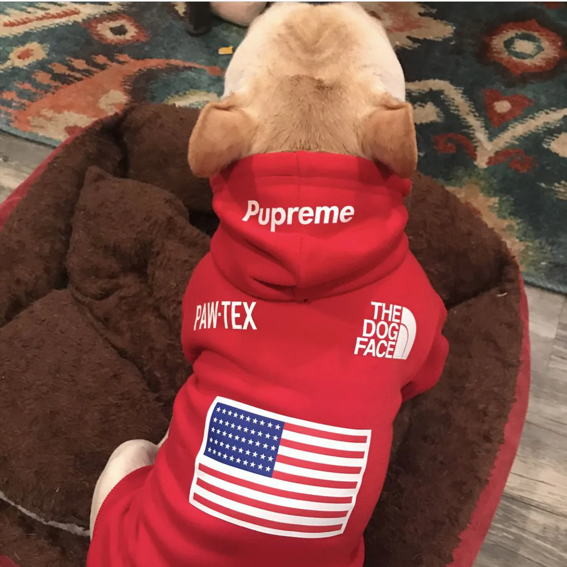 

Print Polyester Clothes Adjustable Dog Clothing Breathable Costume Comfortable for Puppy Cute Dogs Pet Accessories Supplier