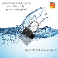 EGFirtor Tuya Smart Fingerprint Padlock Anti-Theft Security Lock for Bag Luggage Box Digital Keyless Door Lock for Travel - Image 6