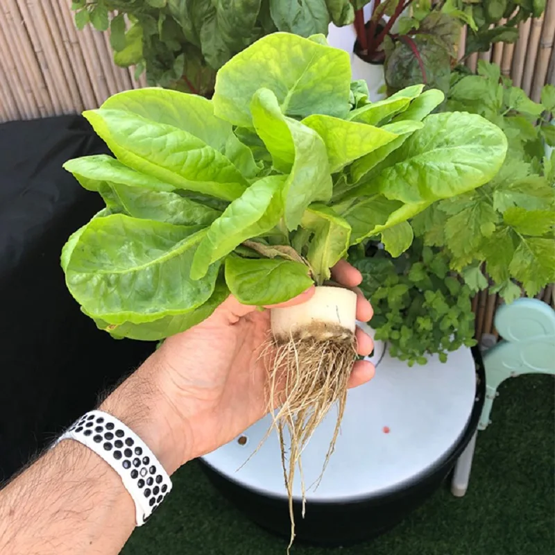 Slide image 9d08434d2c4b4d8da53403239f96c96f