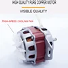 220V  550W Electric Chestnut Sheller Machine Commercial Automatic Chestnut Peeling Peeler Machine 3
