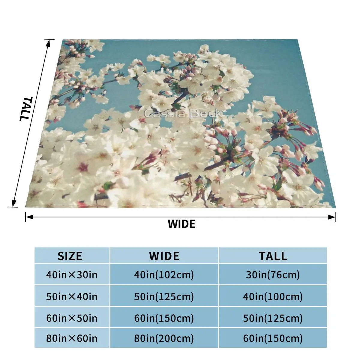 5 �� ������ ��� ħ�뺸, �ε巯�� ħ�� ��