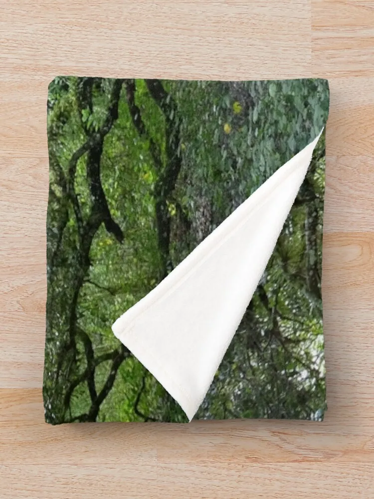 �˼� ������ ���, ħ�� Ŀ��, ��Ƽ�� ���