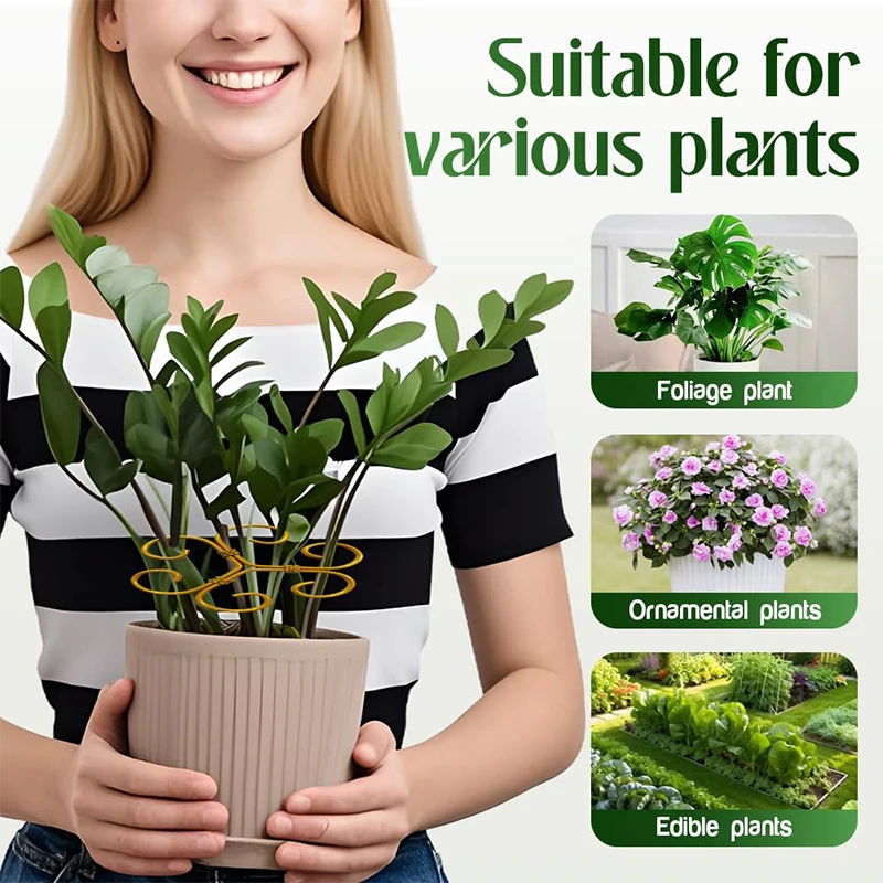 Iron Plant Fixators, Plant Support Frames, Flower Arrangements, Iron Wire Lotus Frames, Climbing Frames