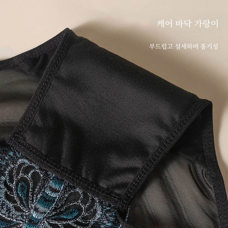 순수한 욕망 미적 자수 메쉬 섹시한 레이스 속옷 여성의 투명 얇은 팬티 숙녀