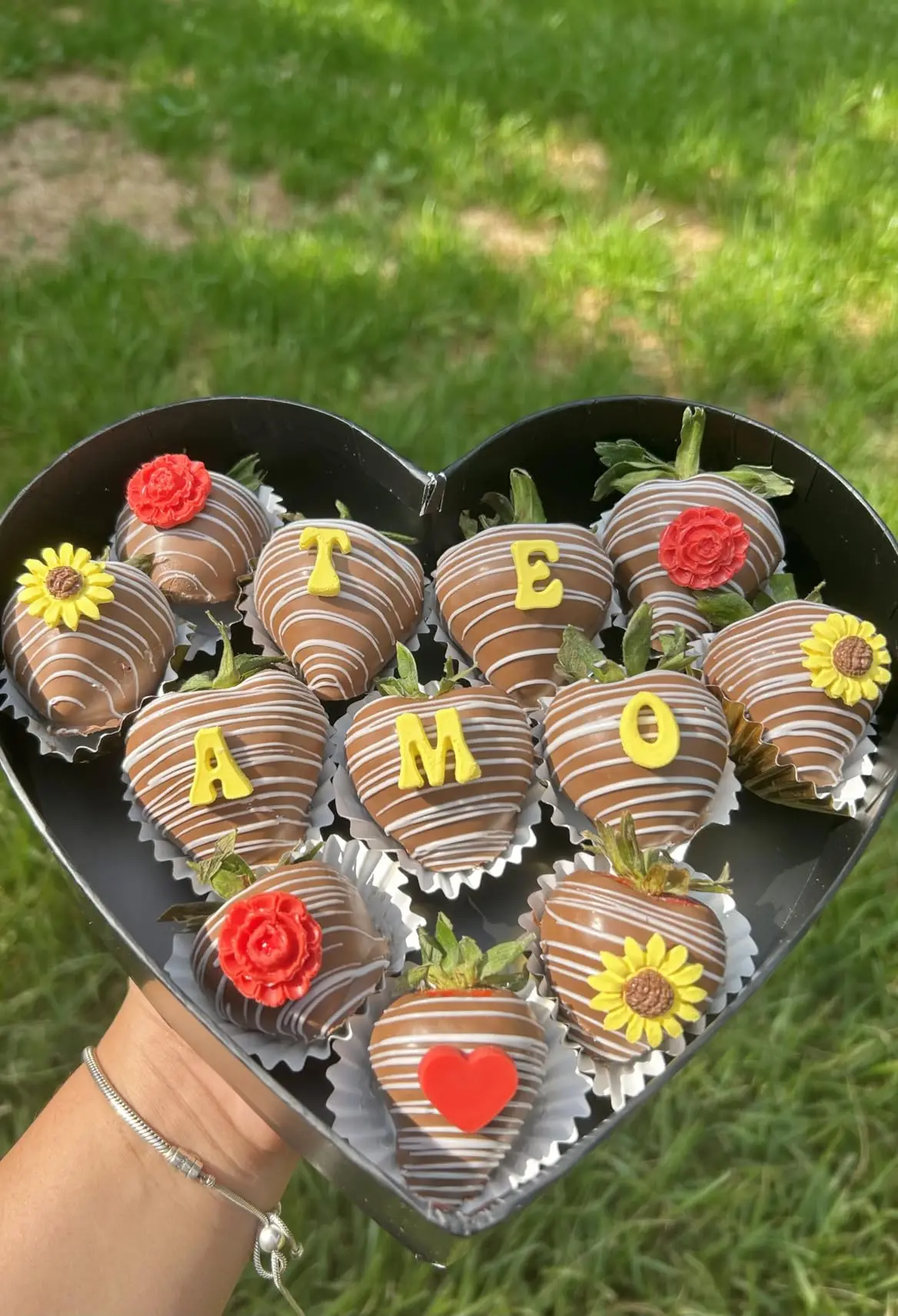 Clear Plastic Chocolate Strawberry Boxes - 5 Pack 12x5x2 Inch Display Containers For Holidays & Events