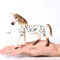 Knapostu stallion