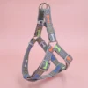 A colorful bone tripod pet dog harness for indoor and outdoor use